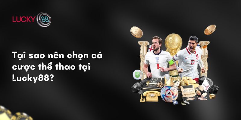 Tại sao nên chọn cá cược thể thao tại ku711?